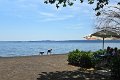 58 Bolsena
